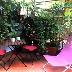 Casa Tortilla Gracia , Barcelona España